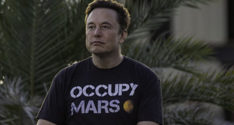 SpaceX’s stock could trade like Tesla ‘on steroids’ after IPO, analyst says