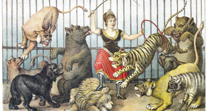 Step aside Tiger King, Mabel Stark is America’s most famous tiger trainer history has forgotten