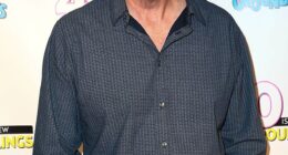 Writer and actor Stephen Hibbert - best known for playing the eerie character known as The Gimp in Pulp Fiction - has died at the age of 68; (pictured 2014)