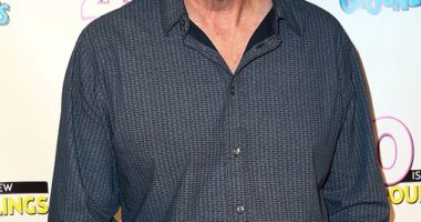 Writer and actor Stephen Hibbert - best known for playing the eerie character known as The Gimp in Pulp Fiction - has died at the age of 68; (pictured 2014)