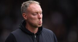 Steve Cooper has been accused of sabotaging Bosnia and Herzegovina's World Cup hopes