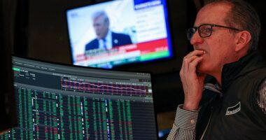 S&P 500 e-mini futures saw a sharp spike in volume at approximately 6:50am on Monday. West Texas Intermediate crude oil futures showed a similar surge in trading activity (file photo)