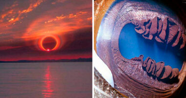 “Strange Earth”: 73 Things In Our World That Are Borderline Unbelievable (New Pics)