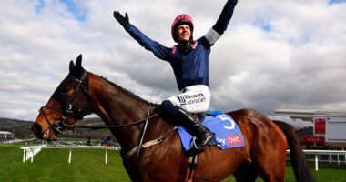 Supreme Novices’ Hurdle Odds | Cheltenham Betting