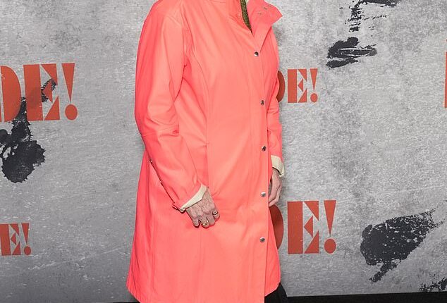 Despite claiming over the weekend that she had been blacklisted from Hollywood over her pro-Palestinian views , Susan Sarandon was among the famous faces walking the red carpet at the US premiere of The Bride on Tuesday night