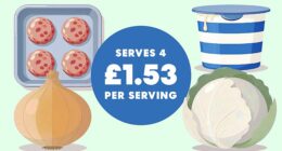 12 free-range pork meatballs, £3.75; 100ml double cream, £1.25; 1 onion, halved and finely sliced, 16p; 1 white cabbage, 95p