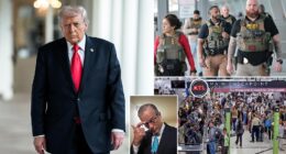 Despite Republicans controlling the House, the Senate , and the White House , political leaders still cannot make a deal to fund the Department of Homeland Security. As the DHS shutdown crossed into week five, Republican Senate Majority Leader John Thune offered Donald Trump a deal to fund all divisions within the department other than ICE. Thune offered Trump a package that Democrats would back, as well as a handful of Republicans, per Punchbowl News.