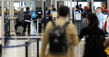 Passengers flying through American airports found significantly shorter security lines. Travelers are pictured here walking through the security lines at George Bush Intercontinental Airport in Houston, Texas on Monday