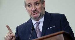 Texas GOP Senator Ted Cruz has proposed splitting ICE and CBP funding from the broader Homeland Security bill to break the shutdown impasse