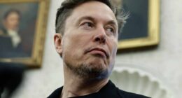 Tesla’s stock rises as investors embrace ambitious foray into making AI chips