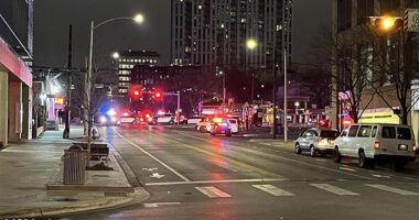 Texas mass shooting leaves at least three dead and 17 wounded after gunman opened fire in bar