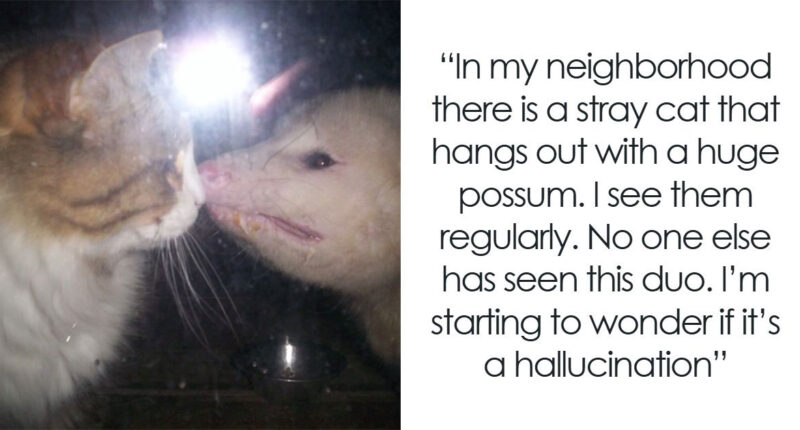 “That Wasn’t Anything From Earth”: 69 Strange Things People Witnessed That Made Them Question Everything