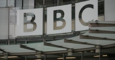 The Beeb Wants Britain to Know They've Got a Dog Problem – HotAir