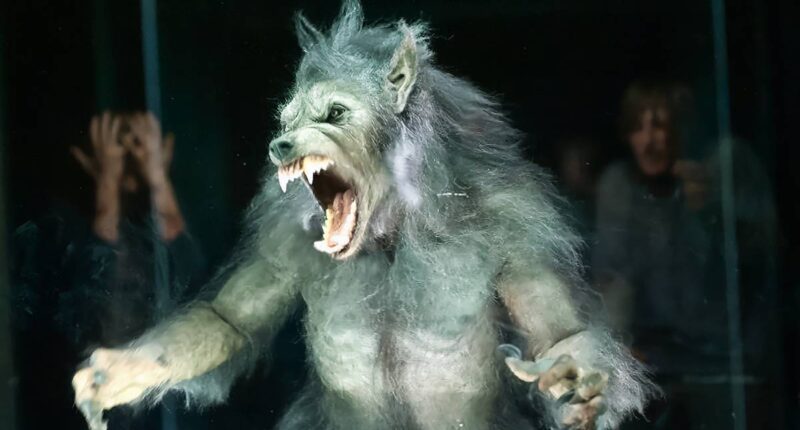 The Most Unique Horror Movie of the 2010s Is Getting Scared Off Prime Video