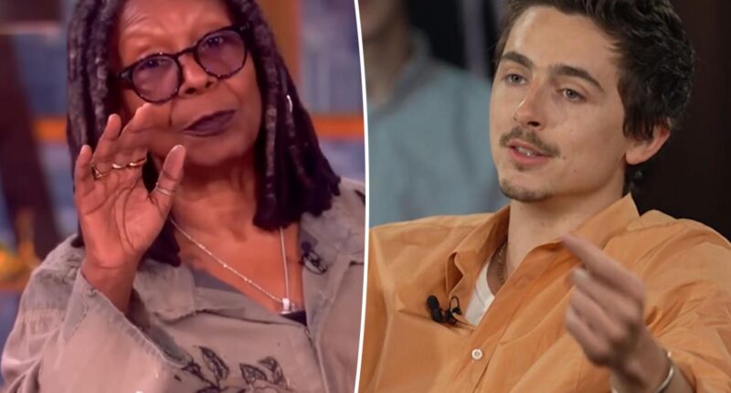 'The View' co-hosts drag 'vapid' Timothée Chalamet after his ballet and opera diss