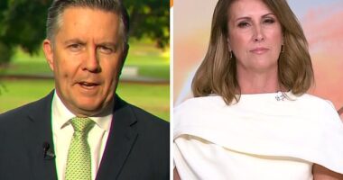 Seven host Nat Barr asked Health Minister Mark Butler on Friday whether Australians will run out of fuel. But he failed to offer a direct answer