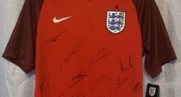 This signed shirt from 2016 is the most expensive England kit online at £15,072.25