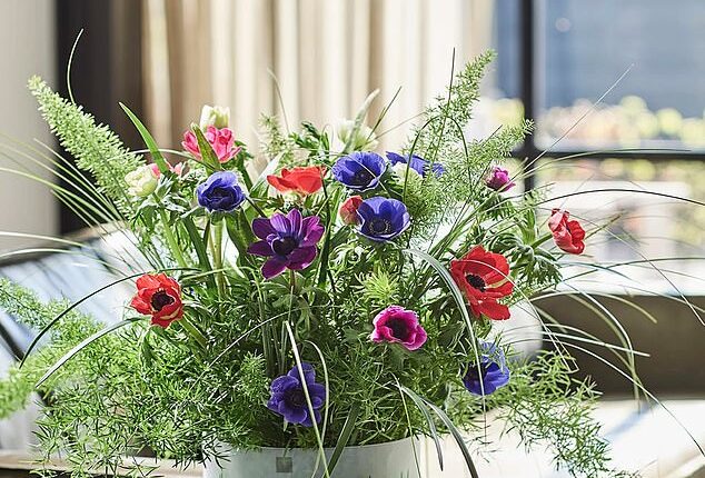 Pink, red, purple and blue anemones in a vase (picture from the Flower Council of Holland)