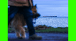 Think Russian oil will calm the Iran conflict’s supply panic? Here’s what the math reveals.