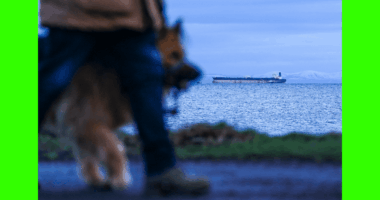 Think Russian oil will calm the Iran conflict’s supply panic? Here’s what the math reveals.