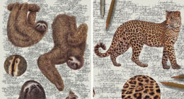 This Artist Turns Wildlife Into Hyper-Detailed Pencil Sketches, And Here Are 34 Of The Best Ones