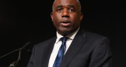 Thousands of lawyers and judges call for government to rethink David Lammy’s plans to curb jury trials