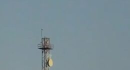 The plane was seen in a tailspin falling out of the sky near a US base in Kuwait