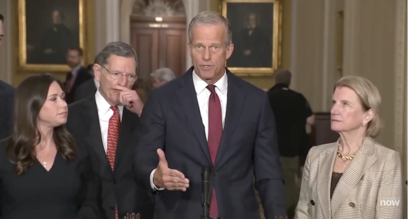 Thune Covers For RINO Pals As He Does His Screw America Act