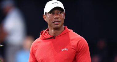 Tiger Woods Arrested At Rollover Crash Scene In Florida After Police Suspect DUI (PHOTOS)