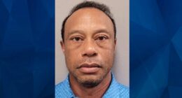 Tiger Woods Released on Bail Following Florida Rollover Crash, DUI Arrest