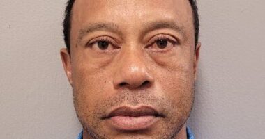 A humiliated Tiger Woods stares down the lens for his mugshot after being arrested for DUI.