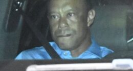Tiger Woods reportedly had two hydrocodone pills in his pocket when he was arrested for DUI