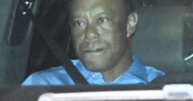 Tiger Woods reportedly had two hydrocodone pills in his pocket when he was arrested for DUI