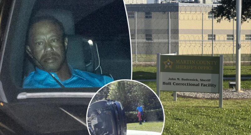 Tiger Woods leaves jail after Florida car crash, DUI arrest