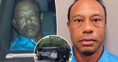 Tiger Woods peers push for 'accountability' after DUI arrest