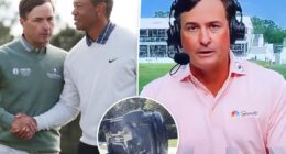Tiger Woods' teammate addresses golfer's 'disturbing' car crash, DUI arrest