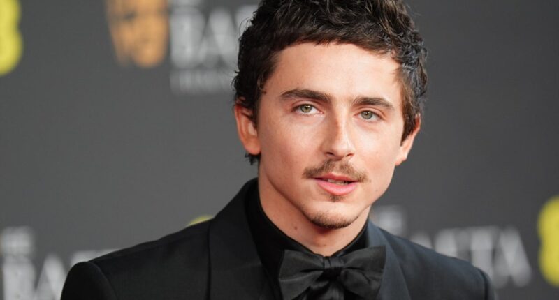 Timothee Chalamet faces backlash from opera and ballet stars over ‘disrespectful’ comment