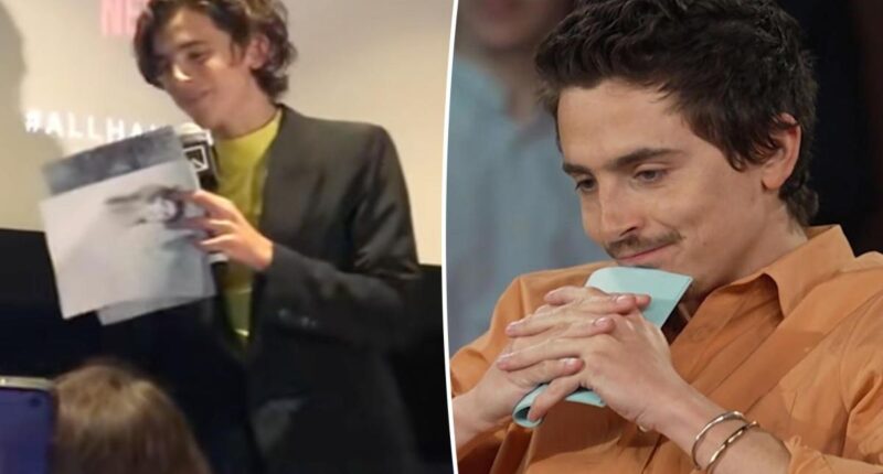 Timothée Chalamet railed against ballet and opera years before viral comments