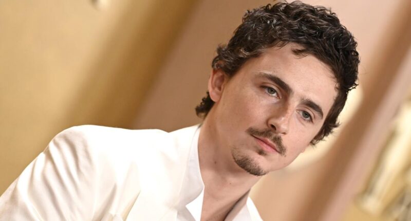 Timothée Chalamet slammed for saying 'no one cares' about ballet or opera