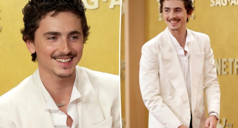 Timothée Chalamet wears Cartier on SAG Actor Awards 2026 red carpet without Kylie Jenner