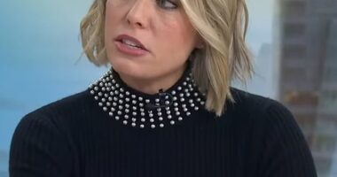 Dylan Dreyer has revealed she is helming a parenting podcast weeks after she filed for divorce