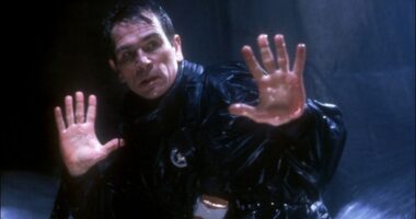 Tommy Lee Jones in The Fugitive