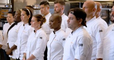 Top Chef Season 23 Cast: Where Are They Today?