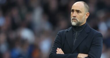 Tottenham vs Crystal Palace - Premier League LIVE: Latest score, team news and updates as Spurs host Eagles in huge clash as threat of relegation becomes reality