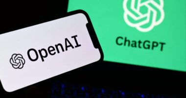 Trade Desk’s stock soars, as a potential OpenAI partnership gives investors reason to cheer