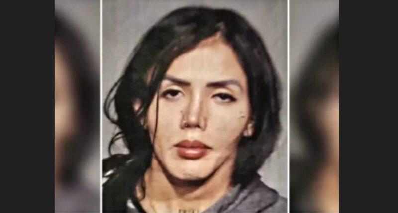 Transgender Illegal Immigrant Receives Just Six Months in Prison for Sexually Assaulting Schoolboy.