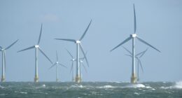 Trump Admin Hands $1BN to French Firm to Cancel Wind Farm Deal.