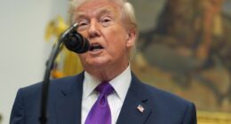 Trump Administration Plans New Approach to Ending DEI – HotAir