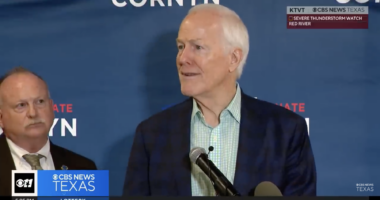 Trump Despises RINOs. So Why Is He About To Endorse One?