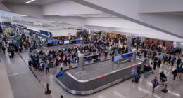 Trump Does End Run Around Senate Dems on Paying TSA Workers Amid Schumer's Partial Govt Shutdown (Update) – RedState